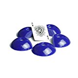 Large Sand Dollar DT (Seconds)