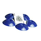 Large Sand Dollar DT (Seconds)