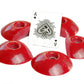 Medium Sand Dollar DT